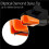 AT-VMN95E Elliptical Replacement Stylus for AT-VM95 Stylus, Record Player Stylus Replacement Stylus 3