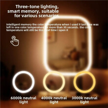 Oplaadbare Make-Upspiegel met Verlichting, Verstelbare Verlichting in 3 Kleuren, Ideaal Cadeau voor Vrouwen.