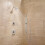 Conector de Pared Redondo en Forma de Codo para Ducha de Mano para Moen A725 2