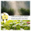 Programmable Water Timer 090C Automatic Irrigation Controller with Rain Delay and Weatherproof Design for Garden and Lawn 2