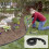 Landscape Edging Kit with 30 Spikes for Easy Garden Installation 3