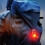 Portable Flashlight Keychain Light COB Multifunctional  LED Work Light Small Portable Flashlight for Outdoor Camping 5