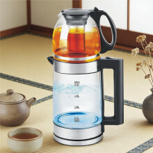 Bouilloire Électrique en Verre avec Infuseur à Thé, en Verre Borosilicate, Base Pivotante à 360, pour Thé et Café, Prise Européenne
