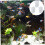 3pcs Aquarium Plant Holder Basket with Enhanced Root Circulation and Shrimp Shelter Function 4