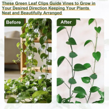 60 Piezas de Clips para Plantas de Jardín, Clips de Fijación Autoadhesivos para Soporte de Plantas Trepadoras, Gancho Adhesivo, Clip de Jardín