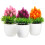 3 Pcs Pine Needle Pineapple Potted Plant Simulation Plants Office 1