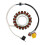 ATV Stator Coil for Jianshe Bashan 400CC Magneto Stator Coil 4