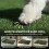 PawHut Inodoro para Perro Negro 76 x 50.5 x 3.5 cm 2