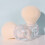 Transparent Makeup Brush Soft Synthetic Blush 9