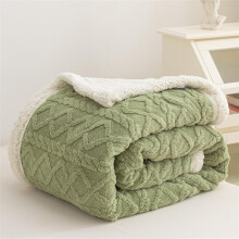 Green Sherpa Throw Blanket 27.5x39.3 Inches – Super Soft Jacquard Blanket for Couch and Bed