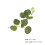 Raindrops  40 Pcs Decor Wedding Greenery Decoration Eucalyptus Leaf 2
