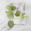 Raindrops  40 Pcs Decor Wedding Greenery Decoration Eucalyptus Leaf 3