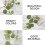 Raindrops  40 Pcs Decor Wedding Greenery Decoration Eucalyptus Leaf 4