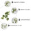 Raindrops  40 Pcs Decor Wedding Greenery Decoration Eucalyptus Leaf 5