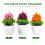 3 Pcs Pine Needle Pineapple Potted Plant Simulation Plants Office 4