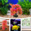 Decoration Per Acquario Rosso Resina 3