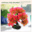Decoration Per Acquario Rosso Resina 4