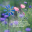 2Pc Wind Spinner Decorative Windmill Decorative Iron Windmill Yard Plug-in Winnower Garden Wind Spinner Ornament- 4
