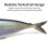 15 cm Swimbait Fishing Soft Baits 3D-Druckköder für-eine Packung 5