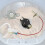 6931EL3003D Begrenzer-Thermostat-Kit mit 6323EL2001B 5