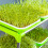 2 Sets Green Sprouting Tray Plastic Tray For Vegetable Sprout Growing 3