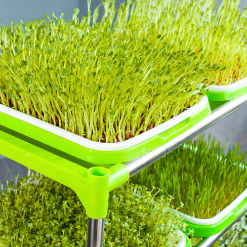 2 Sets Green Sprouting Tray Plastic Tray For Vegetable Sprout Growing 2