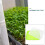 2 Sets Green Sprouting Tray Plastic Tray For Vegetable Sprout Growing 5