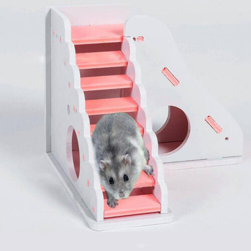 Toy For Hamster Playing Activity Platform Slide Playground House 2