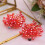2Pz Clips Cristallo Rosso Per Scarpe Matrimonio 3