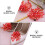 2Pz Clips Cristallo Rosso Per Scarpe Matrimonio 4