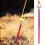 Raindrops  8 Pcs Adjustable Portable Tent Pegs Easy To Operate Nail 3