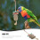 Accessoire Kauwspeelgoed Hangend 4