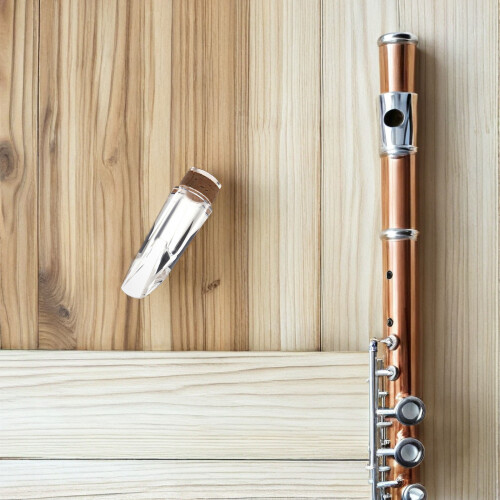 Clarinetto Trasparente Per Uso Su Clarinetto in ABS 2