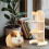 Compacte Lichtbruine Waterfleshouder Hamsters 3