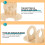 Compacte Lichtbruine Waterfleshouder Hamsters 7