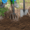 Kingfisher Kingfisher 2 Pc Garden Digging Fork & Spade Set 4