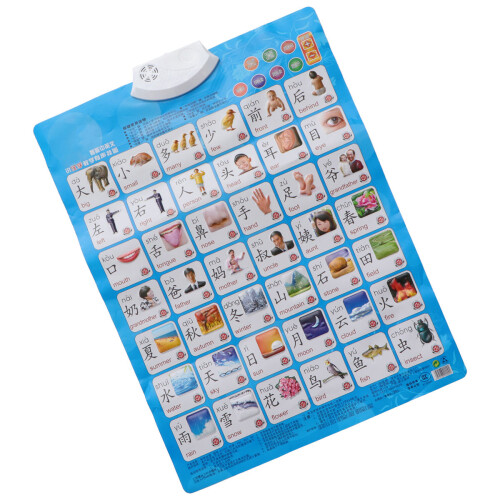 Audio Wall Chart Educational Preschool Toy for Kids