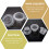 20St Plastic Hydroponic Net Cups Slotted Voor & Kwekerij 6
