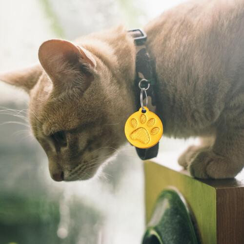 3St Aluminium Pet Collar Tags Met Hondpoot Design 2