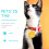 3St Aluminium Pet Collar Tags Met Hondpoot Design 6