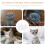 4Pcs White Portable Small Pet Feeding Bottles Reusable Nursing Set 3