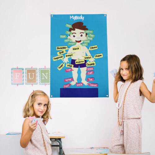 Menselijk Lichaam Bord Interactief Voor Kinderen 2