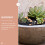 22 Pcs Fish Decorations For Micro Landscape 3