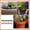 22 Pcs Fish Decorations For Micro Landscape 4