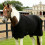 Housse de cheval en polaire épaisse pour plus de-Taille 130 6