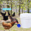 8 Pcs Large Automatic Chicken Water Cups Blue PVC 7