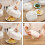 Covers For Food Breathable For Dining Table 1pack 3