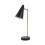 Matt Black Antique Brass Adjustable Desk Lamp 2