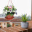 6set Red Abs Hanging Flower Container For Use 14.2x6.3in 5