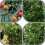 2Pcs Green Iron Vine Climbing Stand Practical Garden Plant Support 4